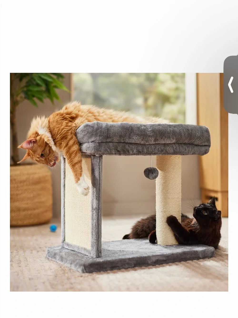 NWT Frisco 21” Cat Tree Plush Gray and Cream Cat Perch with Scratching Post